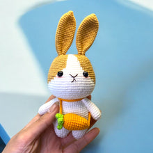 Load image into Gallery viewer, My Pet Crochet Figure K0522